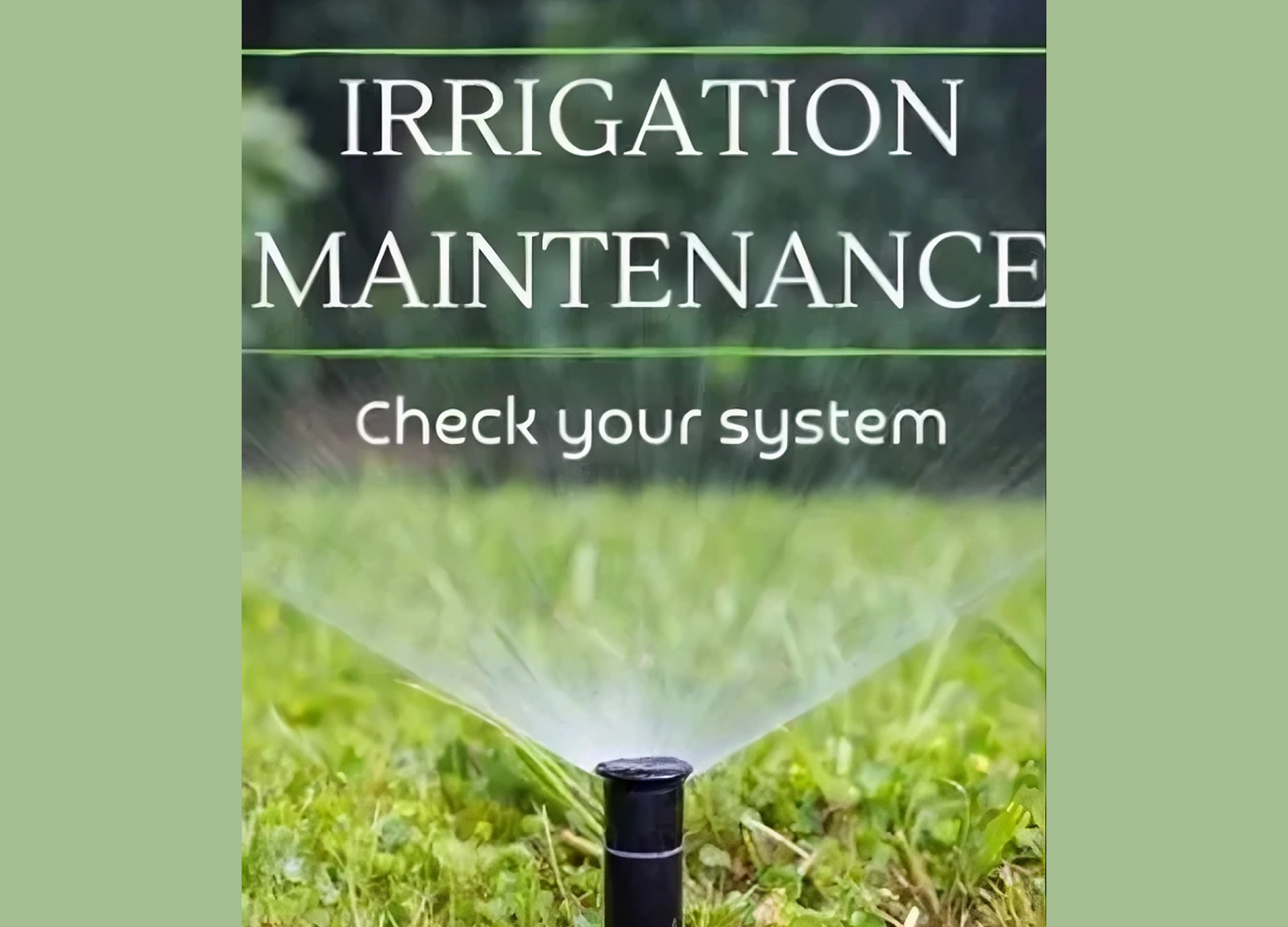 Check irrigation system with lawn sprinkler