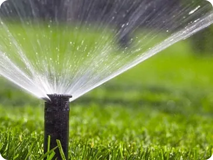 Sprinkler system spraying water