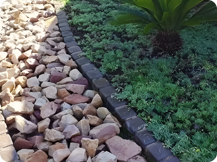 Rocky garden path with greenery
