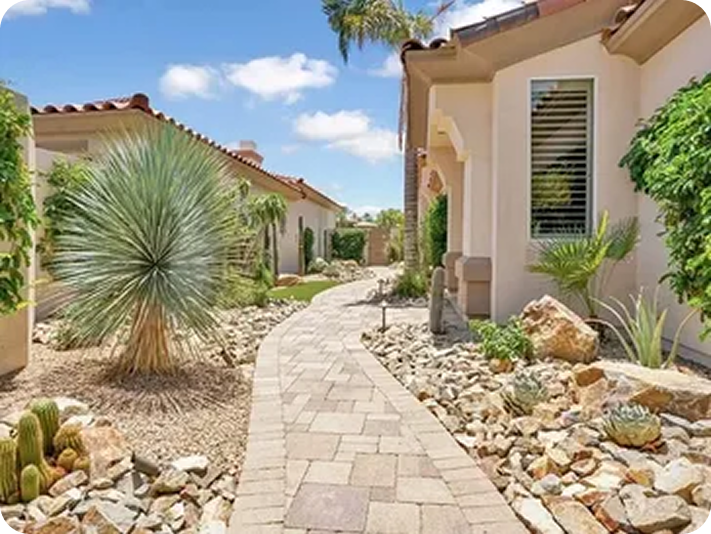 Desert landscape with pathway and plants