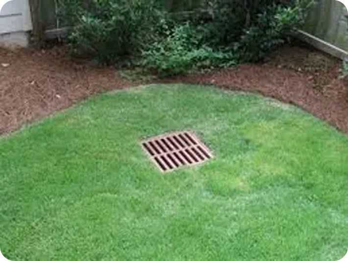 Backyard corner with a drainage system