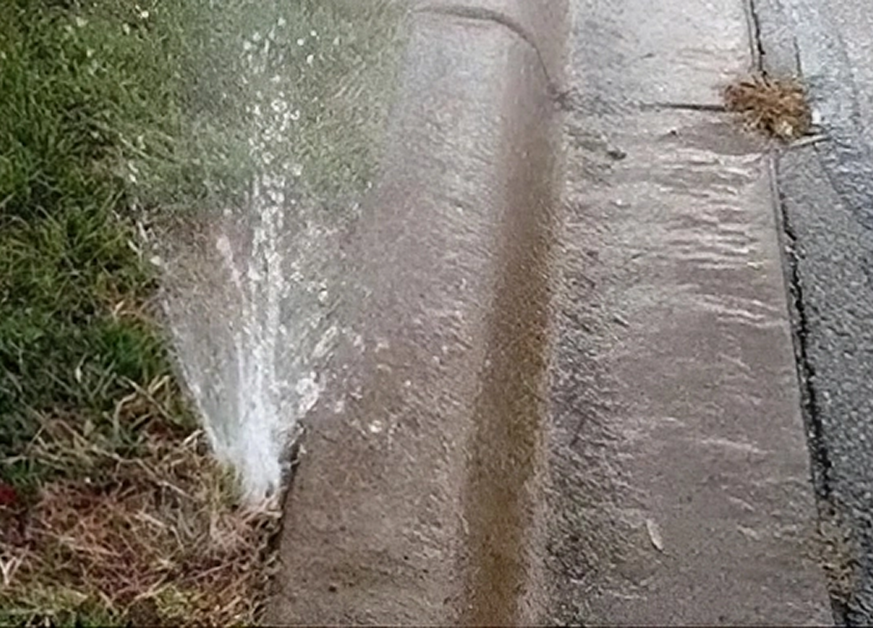 Leaking sprinkler near sidewalk