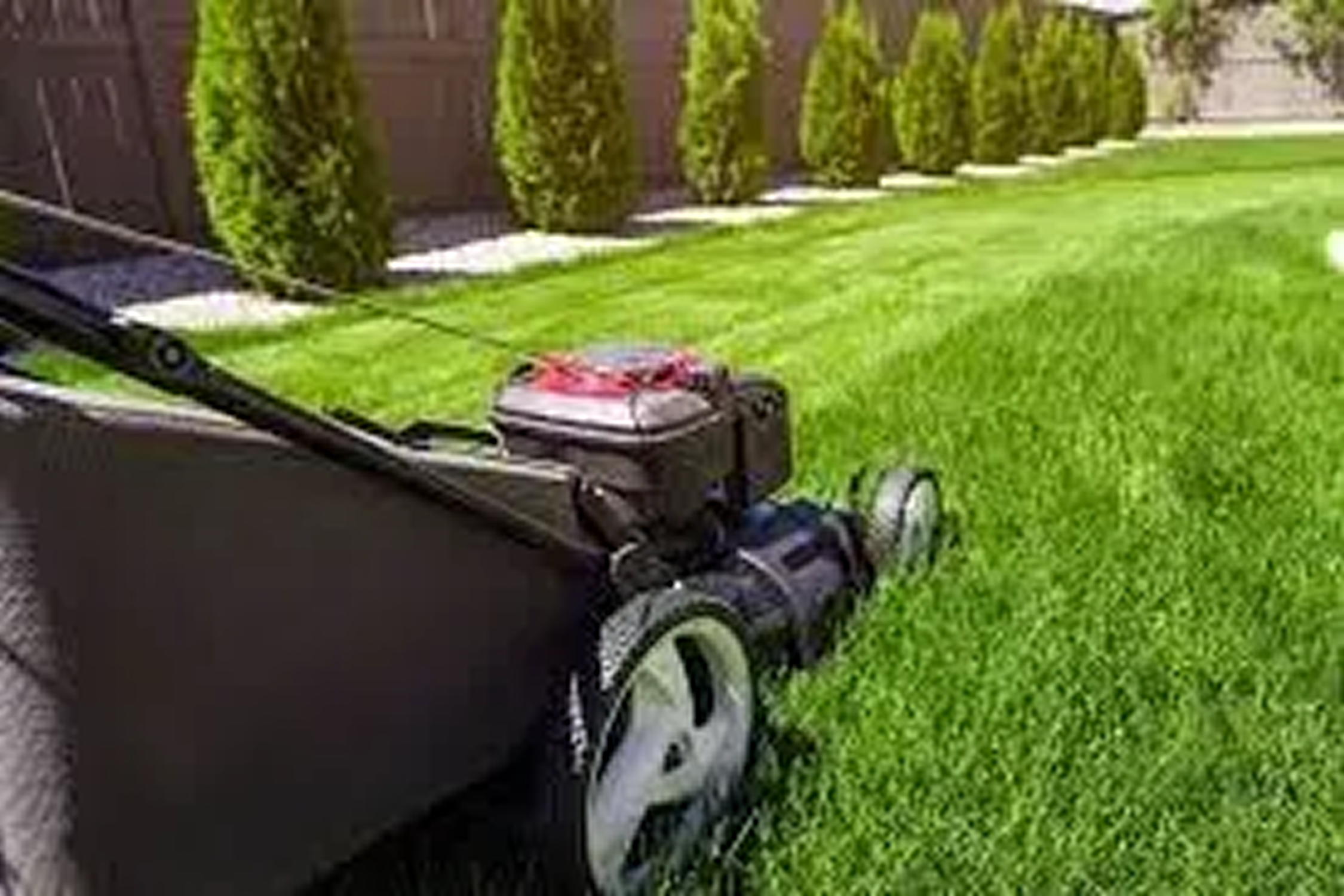 Lawnmower cutting green grass